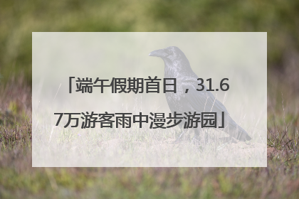 端午假期首日，31.67万游客雨中漫步游园