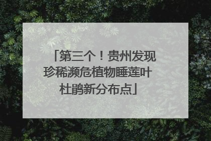 第三个！贵州发现珍稀濒危植物睡莲叶杜鹃新分布点