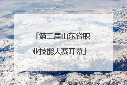第二届山东省职业技能大赛开幕