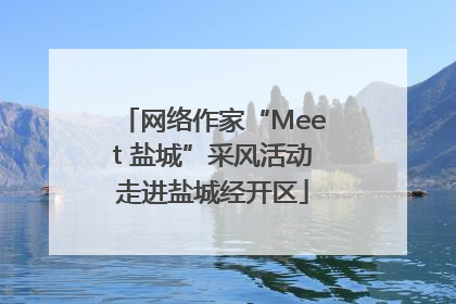 网络作家“Meet 盐城”采风活动走进盐城经开区