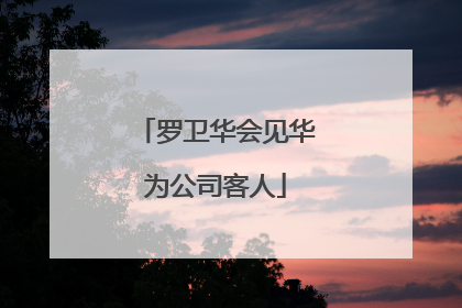 罗卫华会见华为公司客人