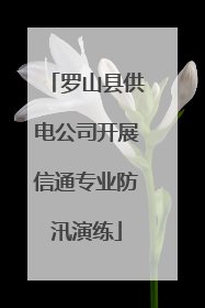 罗山县供电公司开展信通专业防汛演练