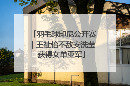 羽毛球印尼公开赛｜王祉怡不敌安洗莹 获得女单亚军