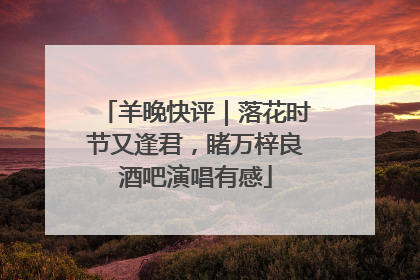 羊晚快评｜落花时节又逢君，睹万梓良酒吧演唱有感