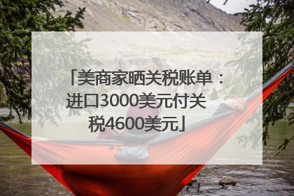 美商家晒关税账单：进口3000美元付关税4600美元