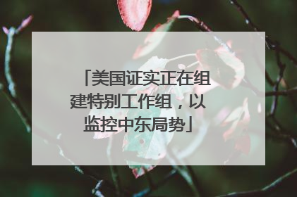 美国证实正在组建特别工作组，以监控中东局势