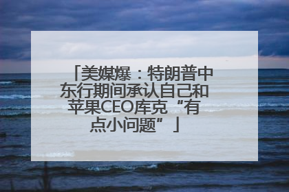 美媒爆：特朗普中东行期间承认自己和苹果CEO库克“有点小问题”