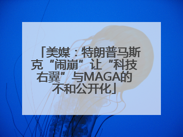 美媒：特朗普马斯克“闹崩”让“科技右翼”与MAGA的不和公开化