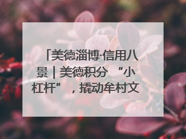美德淄博·信用八景｜美德积分 “小杠杆”，撬动牟村文明 “大能量”