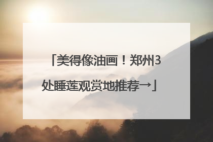 美得像油画！郑州3处睡莲观赏地推荐→