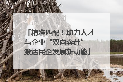 精准匹配！助力人才与企业“双向奔赴” 激活民企发展新动能