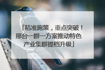 精准施策，重点突破！邢台一群一方案推动特色产业集群提档升级