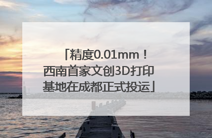 精度0.01mm！西南首家文创3D打印基地在成都正式投运