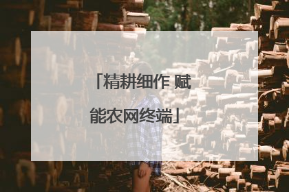 精耕细作 赋能农网终端