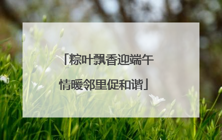 粽叶飘香迎端午 情暖邻里促和谐