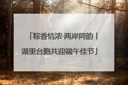粽香情浓·两岸同韵丨湖里台胞共迎端午佳节