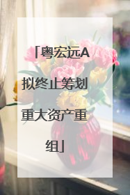 粤宏远A拟终止筹划重大资产重组