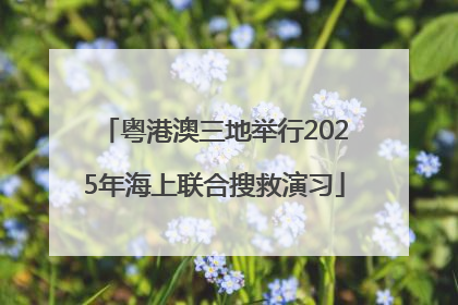 粤港澳三地举行2025年海上联合搜救演习