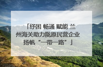 纾困 畅通 赋能 兰州海关助力陇原民营企业扬帆“一带一路”
