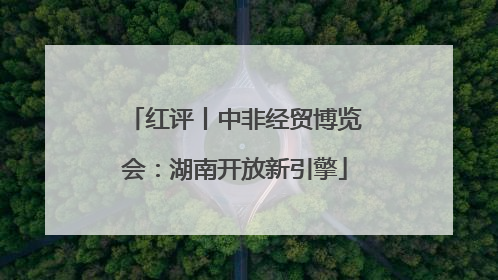 红评丨中非经贸博览会：湖南开放新引擎