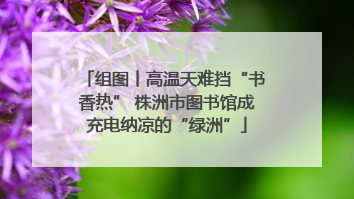 组图丨高温天难挡“书香热” 株洲市图书馆成充电纳凉的“绿洲”