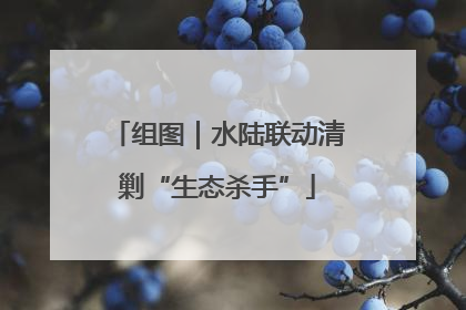 组图｜水陆联动清剿“生态杀手”