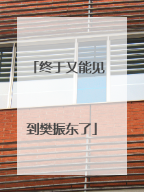 终于又能见到樊振东了