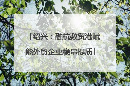 绍兴：融杭数贸港赋能外贸企业稳量提质