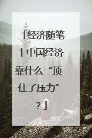 经济随笔丨中国经济靠什么“顶住了压力”？