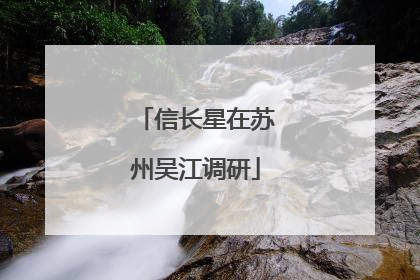 信长星在苏州吴江调研