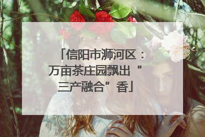 信阳市浉河区：万亩茶庄园飘出“三产融合”香