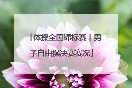 体操全国锦标赛丨男子自由操决赛赛况