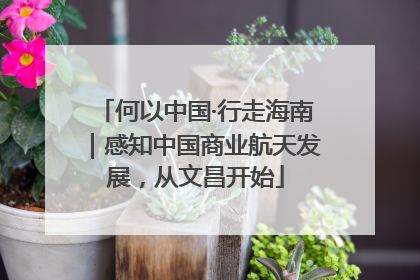 何以中国·行走海南｜感知中国商业航天发展，从文昌开始