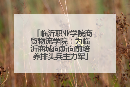 临沂职业学院商贸物流学院：为临沂商城向新向前培养排头兵主力军