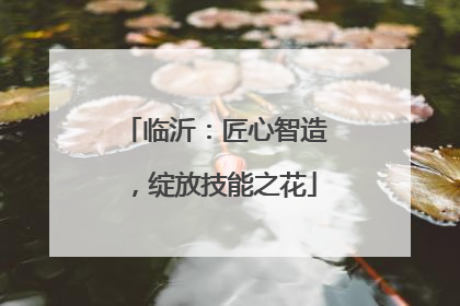 临沂：匠心智造，绽放技能之花