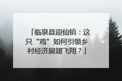 临泉县迎仙镇：这只“鸡”如何引领乡村经济展翅飞翔？