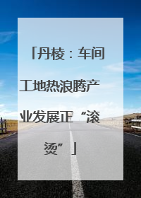 丹棱：车间工地热浪腾产业发展正“滚烫”