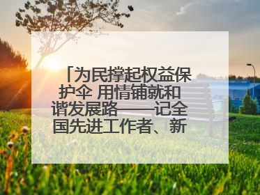 为民撑起权益保护伞 用情铺就和谐发展路——记全国先进工作者、新区项目建设中心干部卢小勇