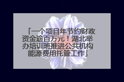 一个项目年节约财政资金逾百万元！湖北举办培训班推进公共机构能源费用托管工作
