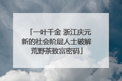 一叶千金 浙江庆元新的社会阶层人士破解荒野茶致富密码