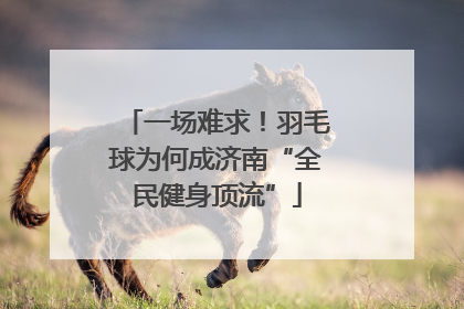 一场难求！羽毛球为何成济南“全民健身顶流”