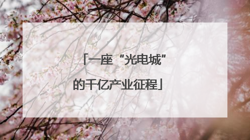 一座“光电城”的千亿产业征程