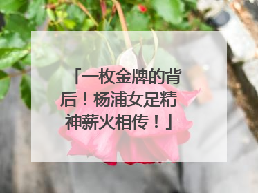 一枚金牌的背后！杨浦女足精神薪火相传！
