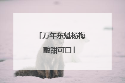 万年东魁杨梅 酸甜可口