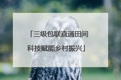 三级包联直通田间 科技赋能乡村振兴