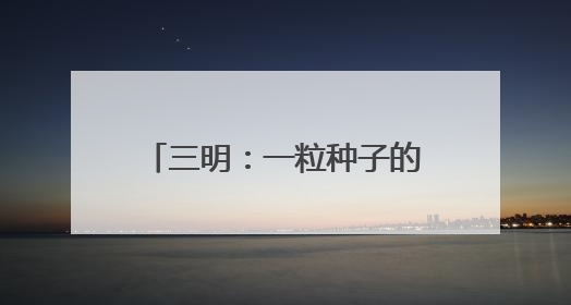 三明：一粒种子的“链式”崛起之路