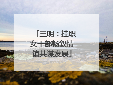 三明：挂职女干部畅叙情谊共谋发展