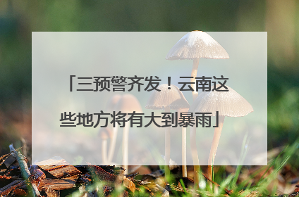 三预警齐发！云南这些地方将有大到暴雨