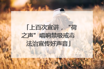 上百次宣讲，“荷之声”唱响禁吸戒毒法治宣传好声音