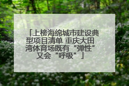 上榜海绵城市建设典型项目清单 重庆大田湾体育场既有“弹性”又会“呼吸”